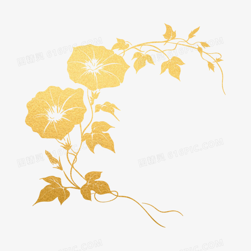 插画鎏金植物花朵免抠元素