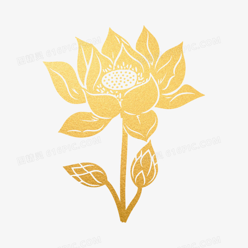 插画鎏金植物花朵免抠元素