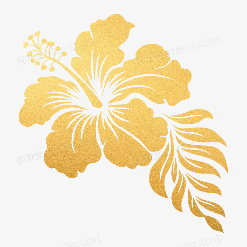 插画鎏金植物花朵免抠元素