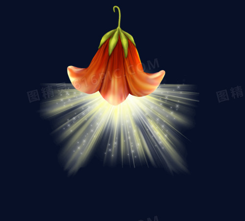 花灯