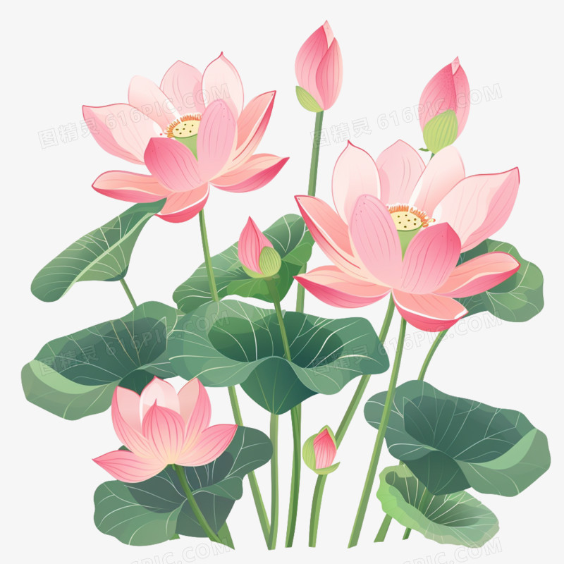 插画风荷花免抠素材