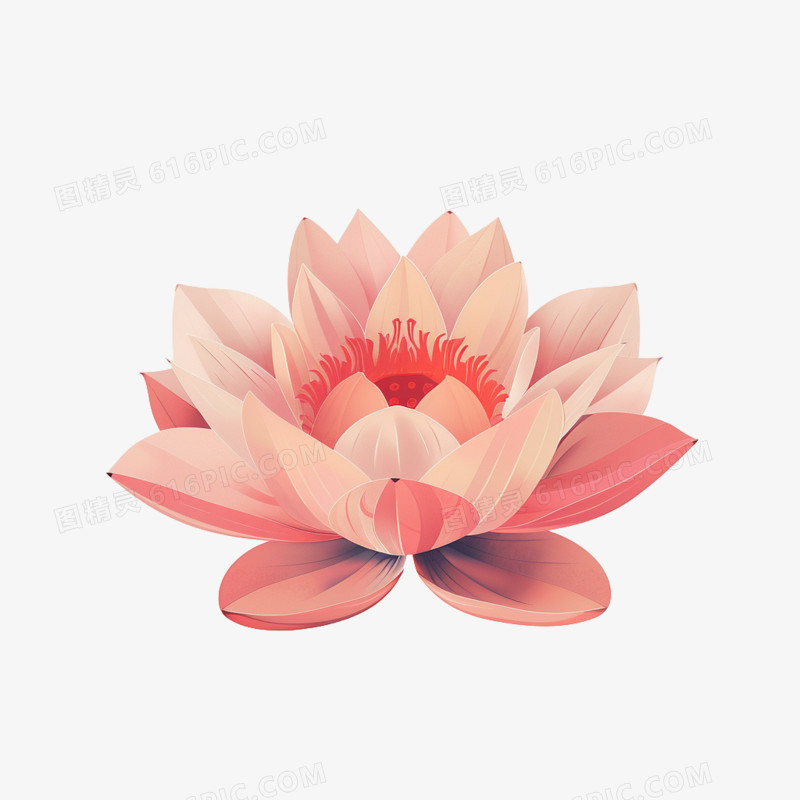 插画风荷花免抠素材