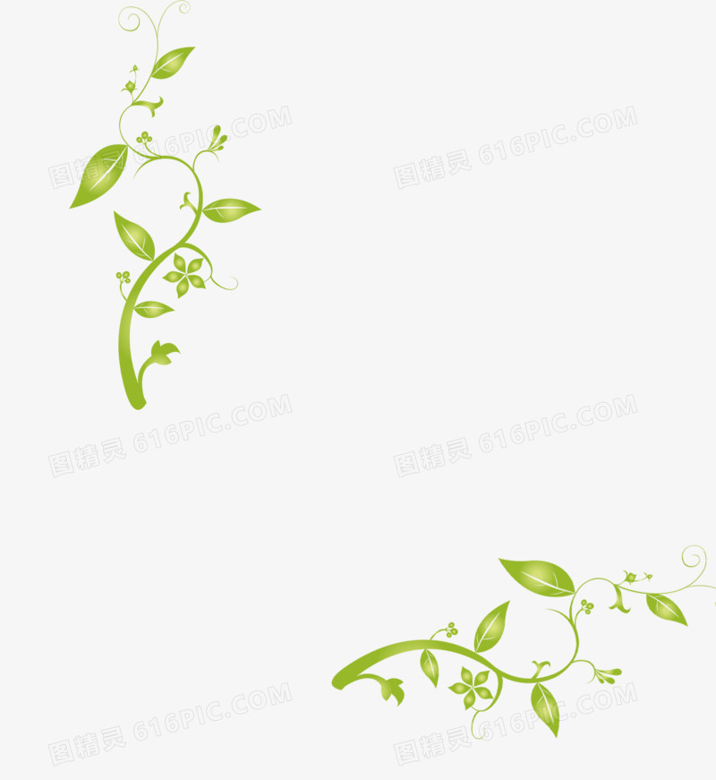 绿色蔓藤植物