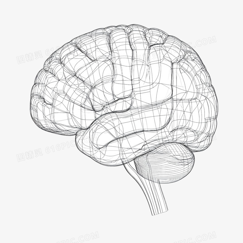 插画医疗人体大脑免抠元素