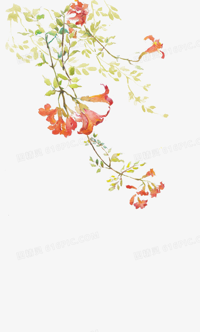 水彩墨花