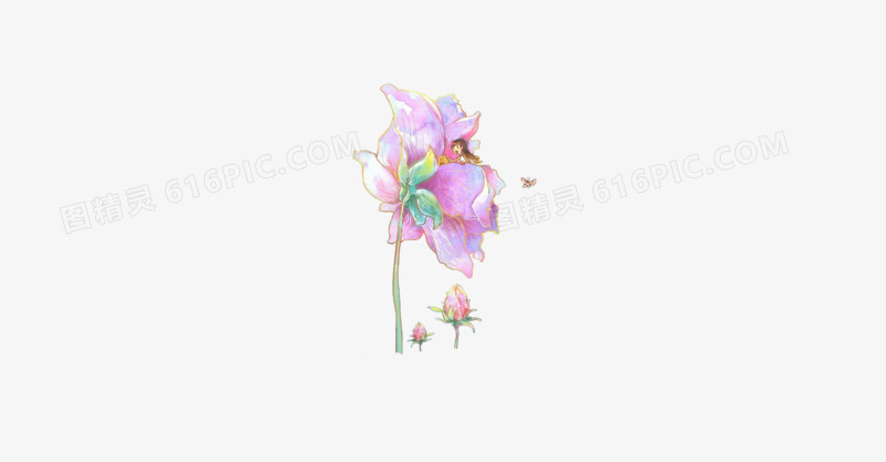 手绘花朵素材
