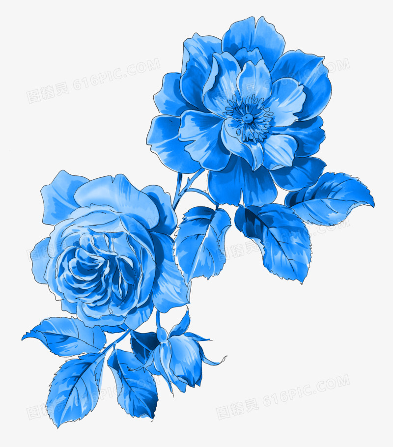 花卉
