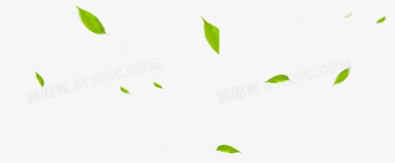 绿色树叶漂浮