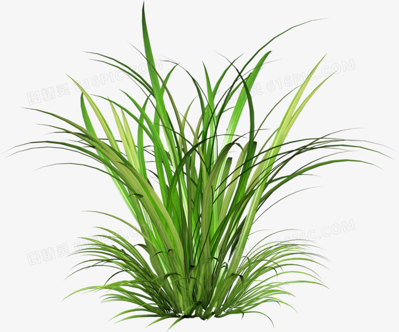 童话里草