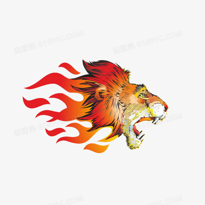 火焰和狮子头部插画