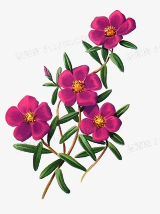 刺绣花