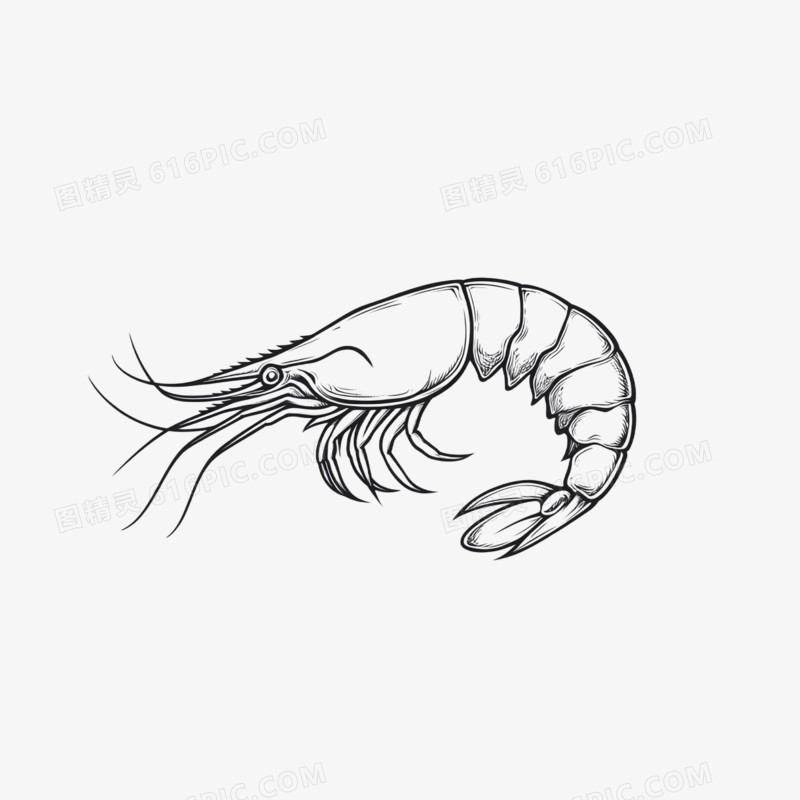 插画渔船打渔水产品免抠元素
