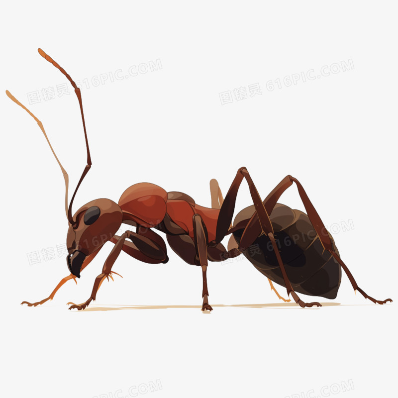 春天昆虫蚂蚁免抠元素