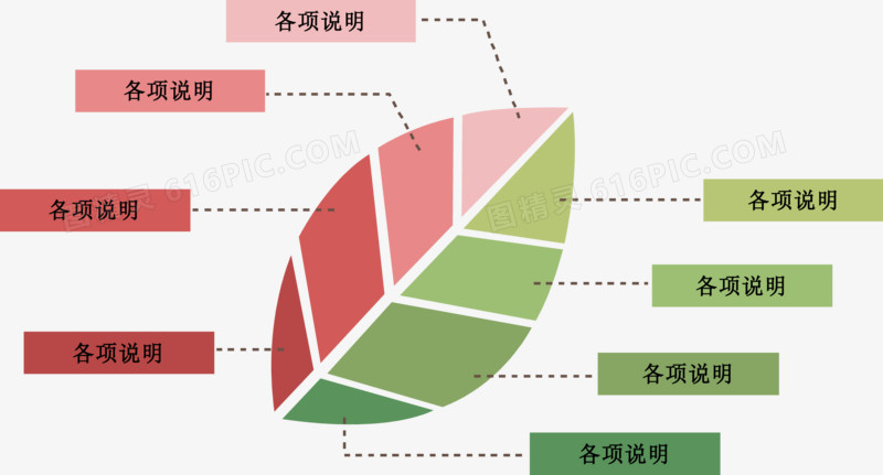 植物叶片说明图