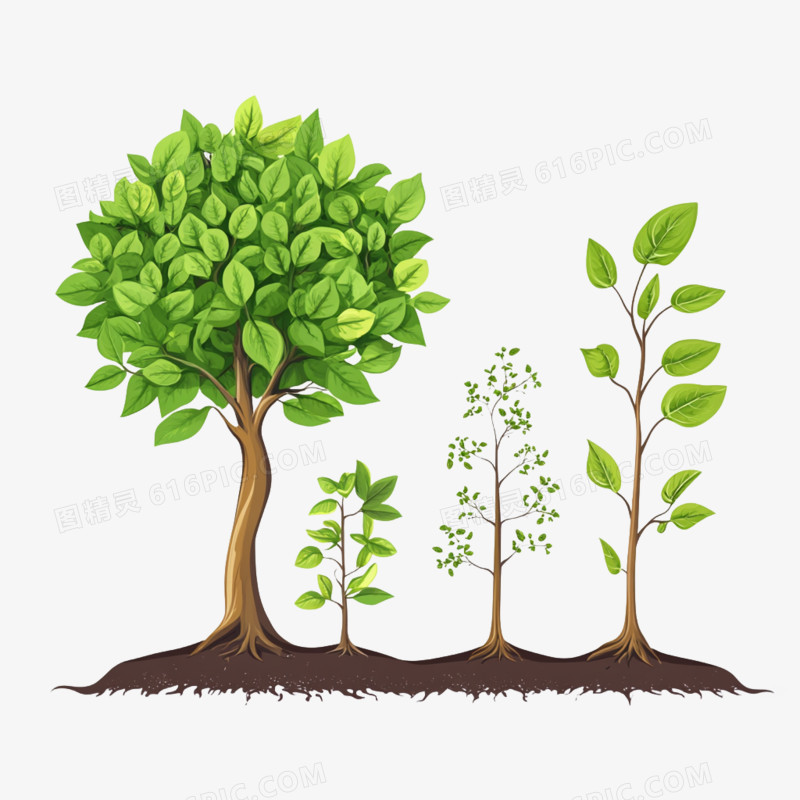 植物成长过程免抠元素