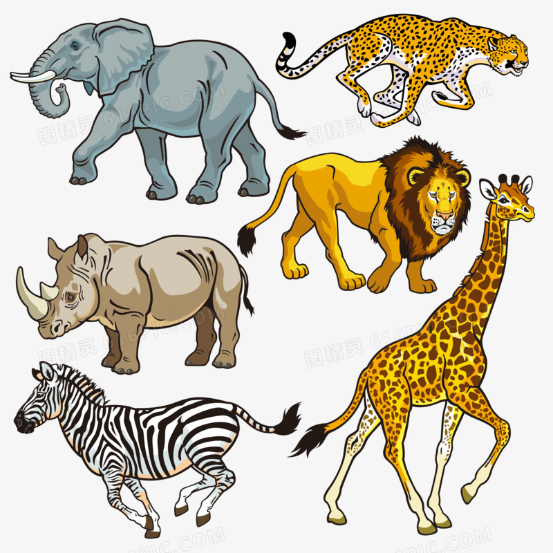 手绘非洲野生动物矢量素材