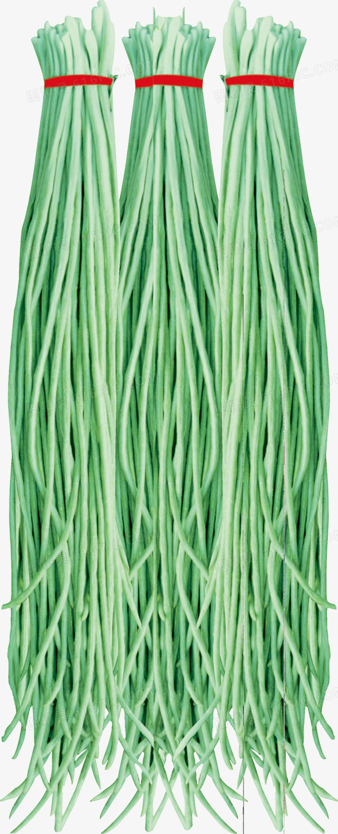 豆角
