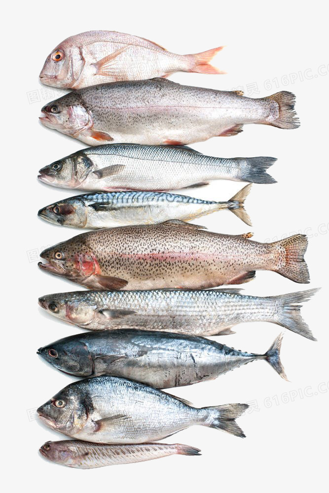 海鲜