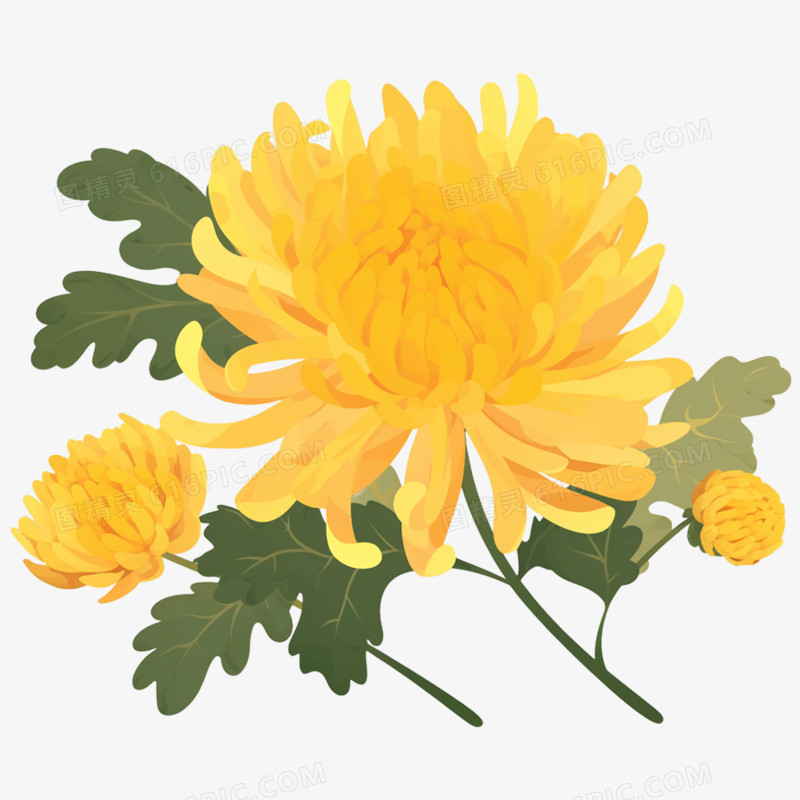 手绘祭祀用菊花免抠元素