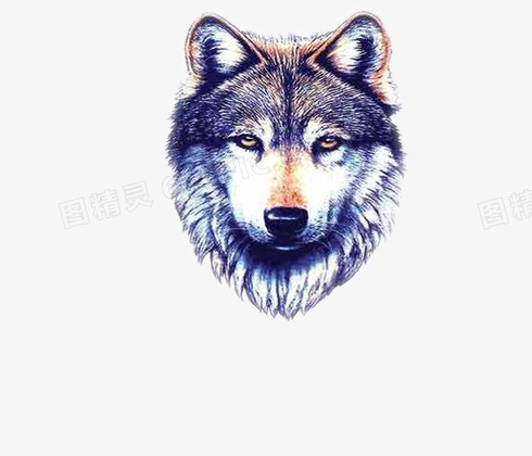 彩色画笔彩色碎片头包头狼卡通动物头彩色标凶猛的狼头pngeps图形图案
