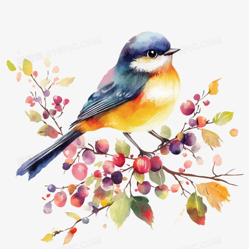 水彩风花鸟免抠元素