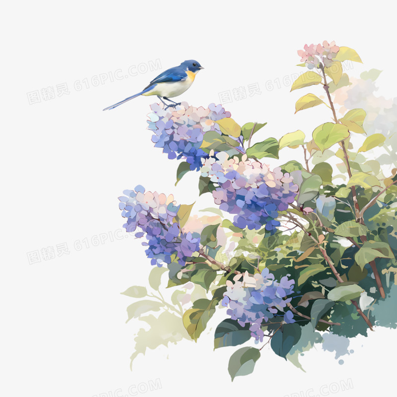 绣球花和鸟儿免抠元素