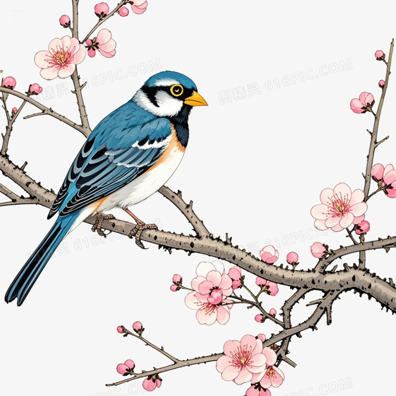 麻雀在梅花树枝上的免抠元素