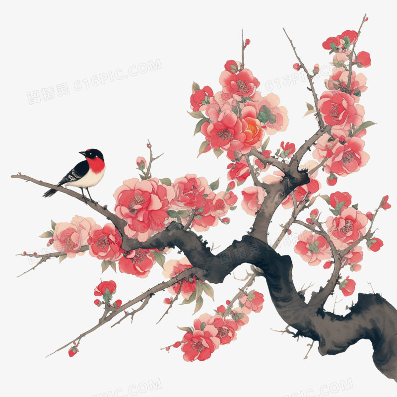 春天花枝和小鸟免抠元素