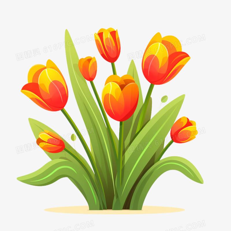 插画风郁金香植物花丛免抠元素