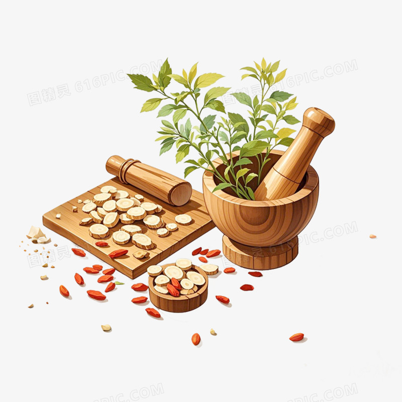 手绘插画中草药免抠元素