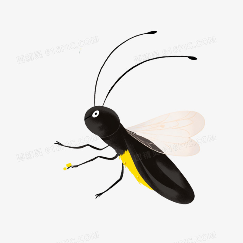 插画风夏季昆虫动物萤火虫免抠元素