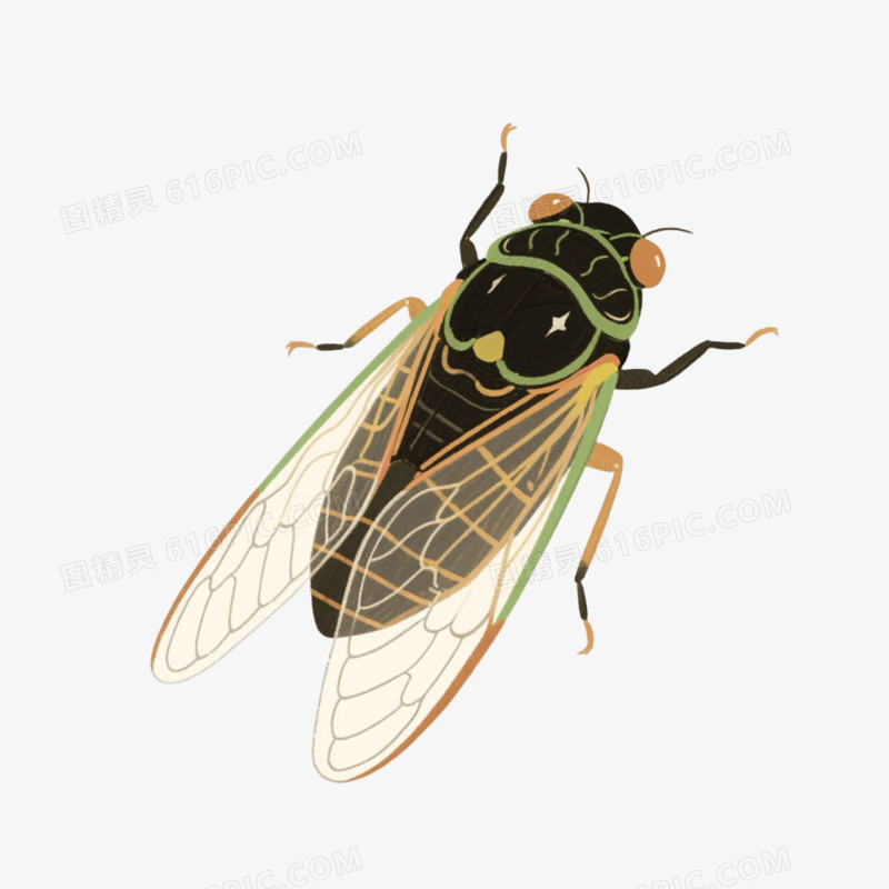 插画风格蝉免抠元素