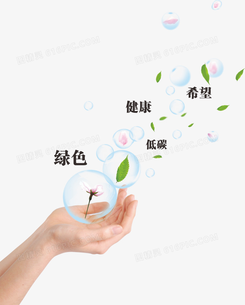 希望的种子