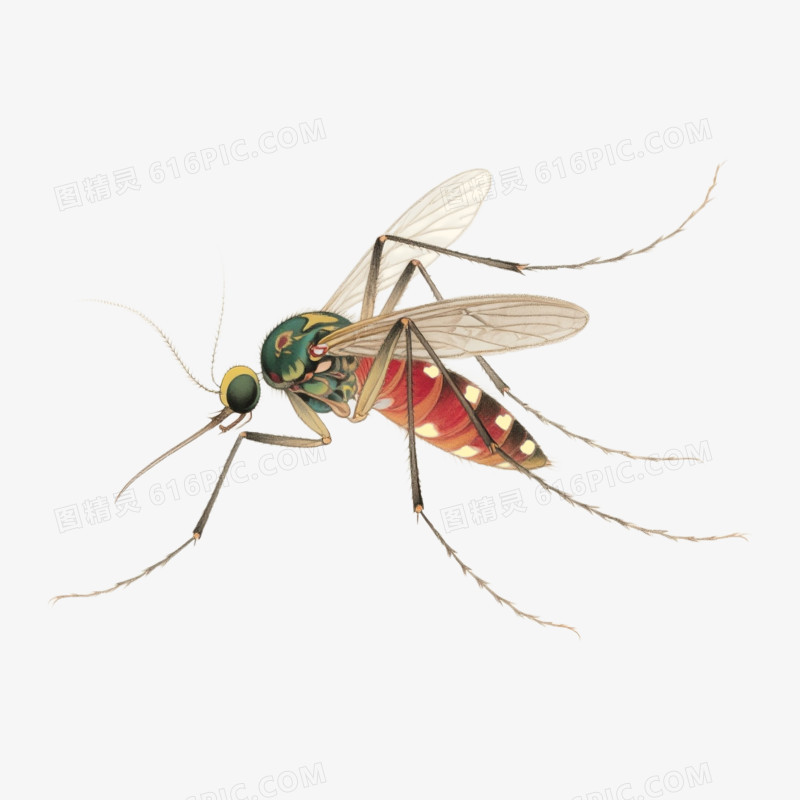 卡通手绘夏季昆虫免抠元素