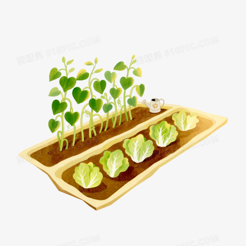 插画风小菜园免抠元素