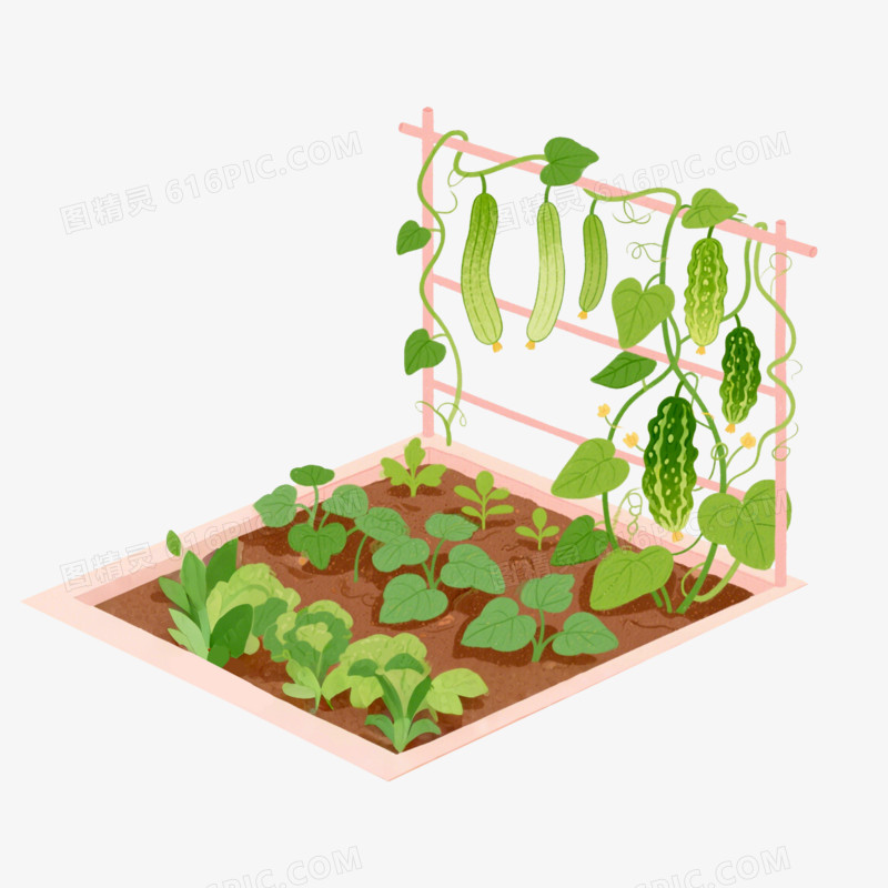 插画风小菜园免抠元素