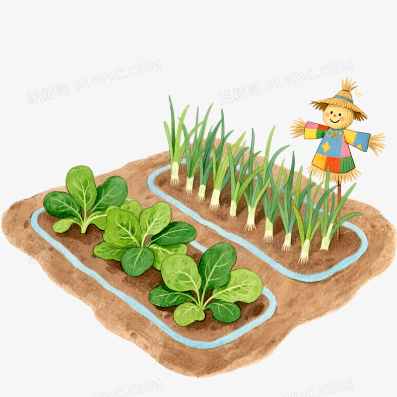 插画风小菜园免抠元素