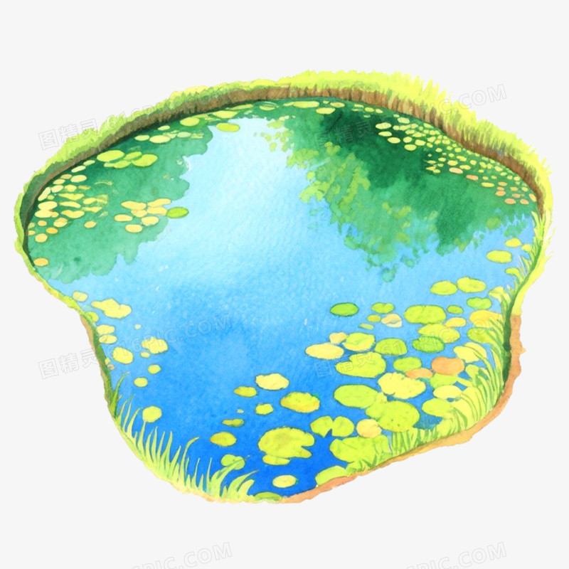 手绘插画鱼池免抠元素