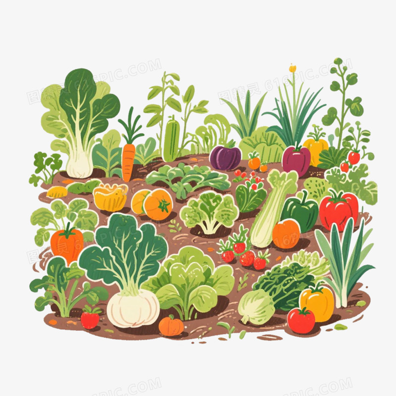 手绘插画菜园子免抠元素