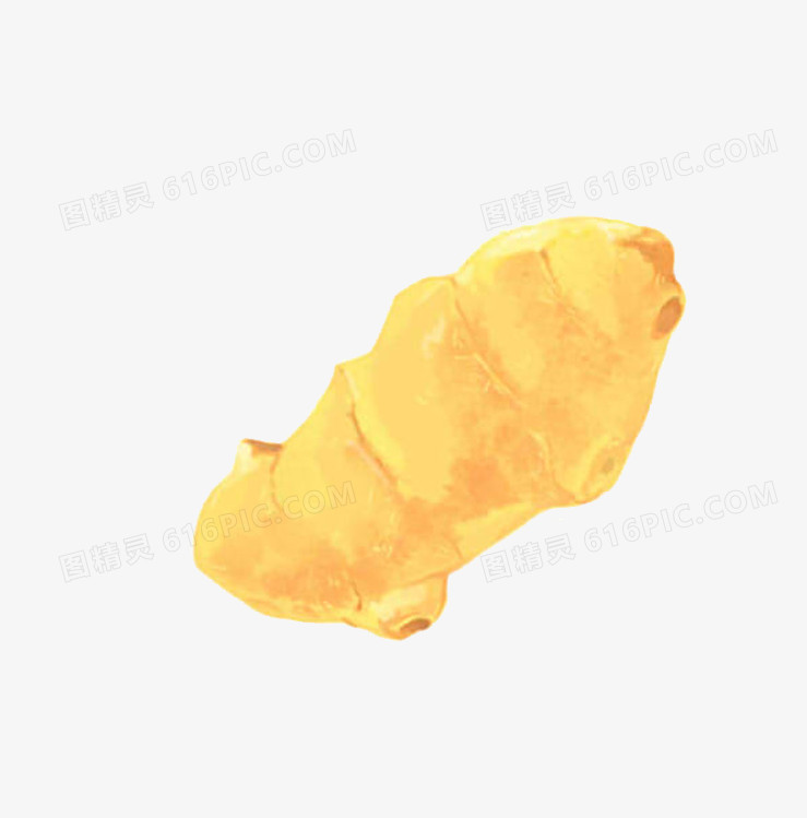 手绘姜