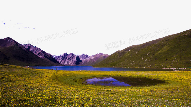 青海年保玉则风景