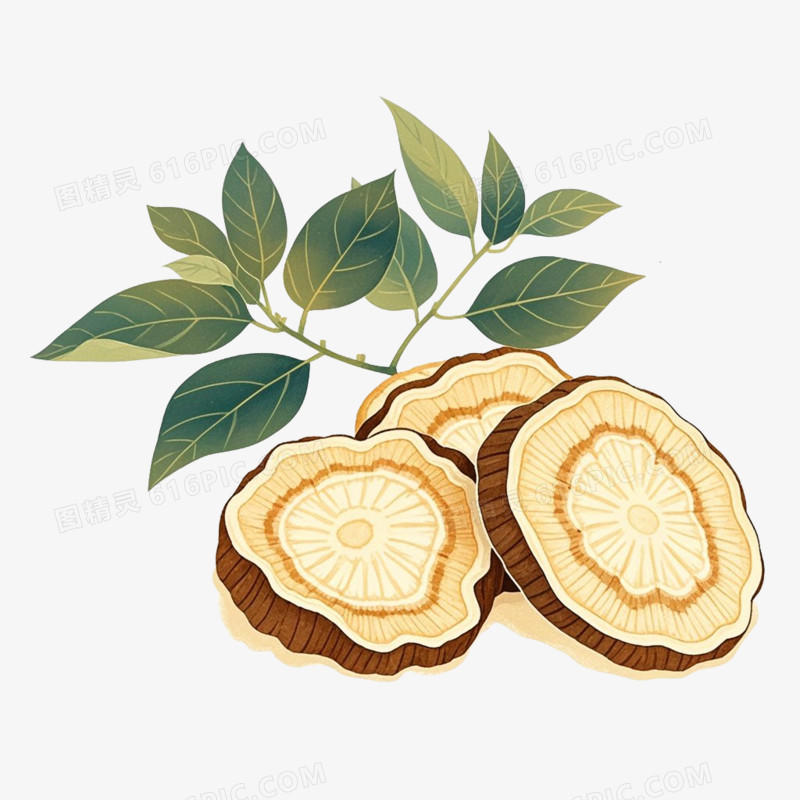 中医养生药材免抠元素