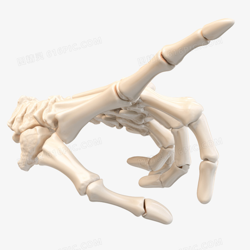 3D骷髅手免抠元素