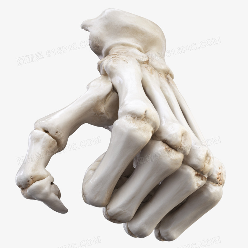 3D骷髅手免抠元素