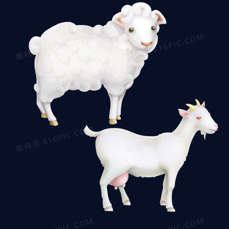 山羊和绵羊矢量素材