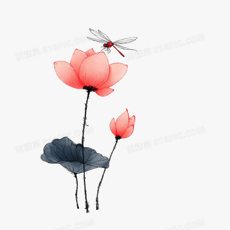 手绘卡古风简笔画荷花免抠元素