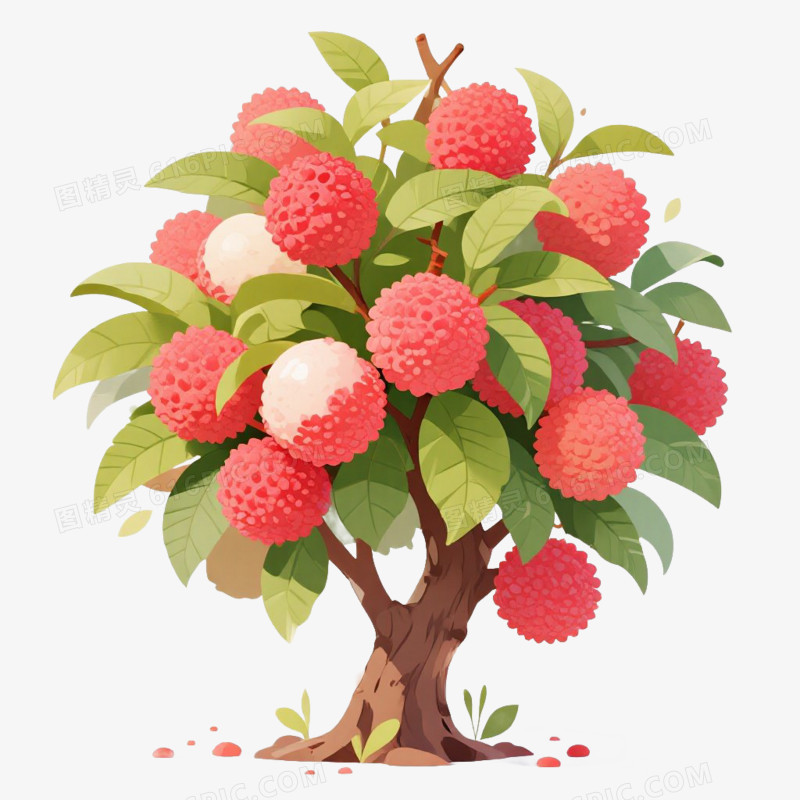卡通插画风果树荔枝树免抠元素