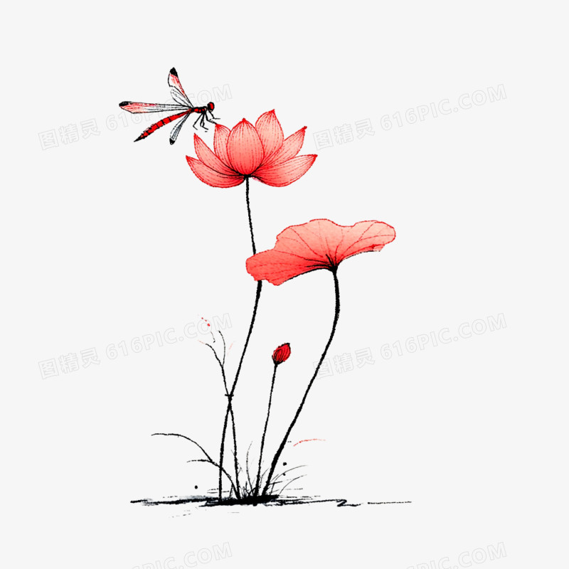 手绘卡古风简笔画荷花免抠元素