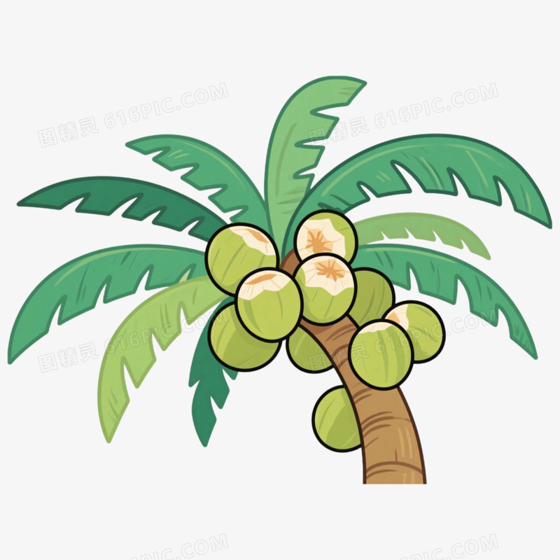 椰树果树树木免抠元素