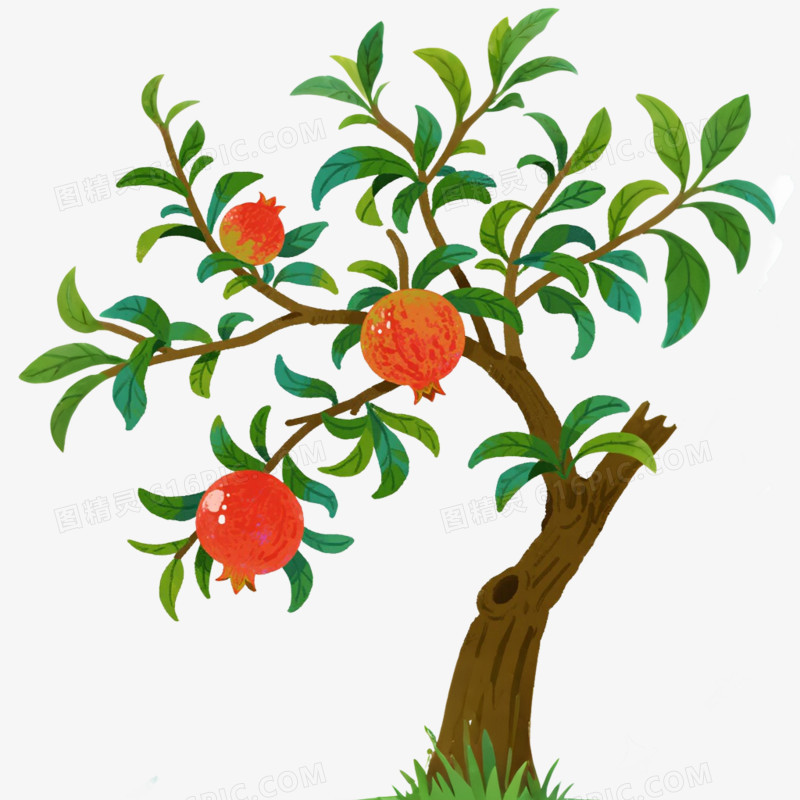 卡通插画风果树石榴树免抠元素